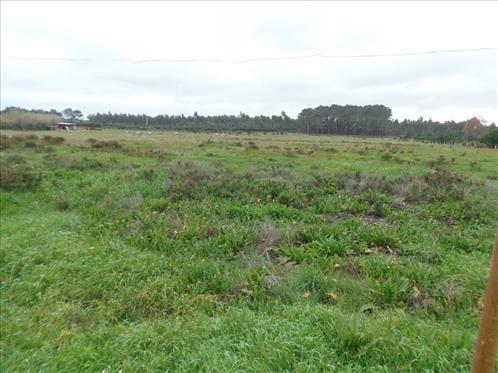 Monte Da Fome Aguda Apartment Odeceixe Bagian luar foto